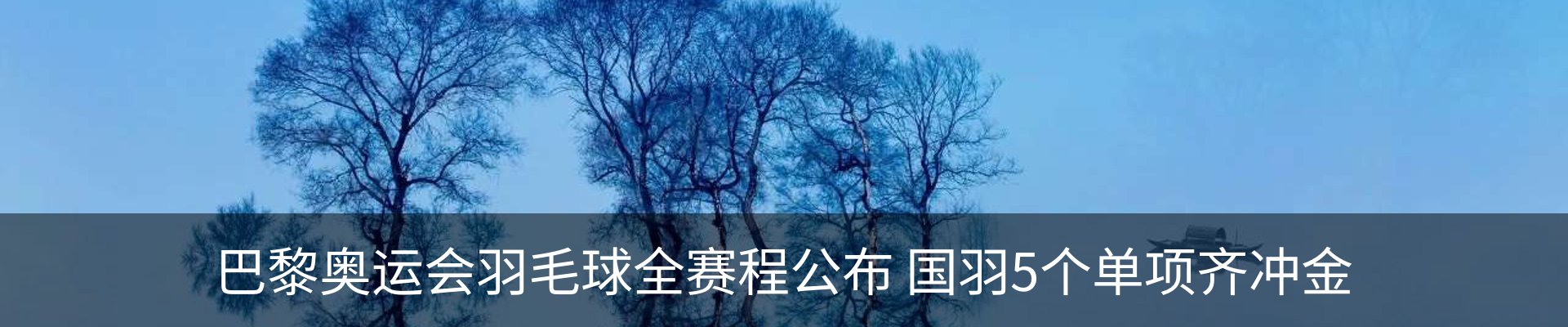 资讯动态