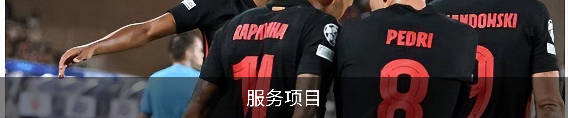 服务项目