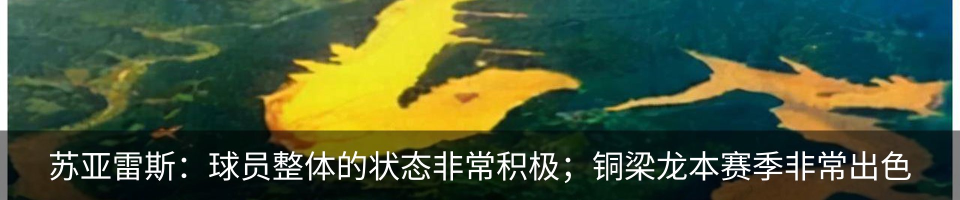 资讯动态
